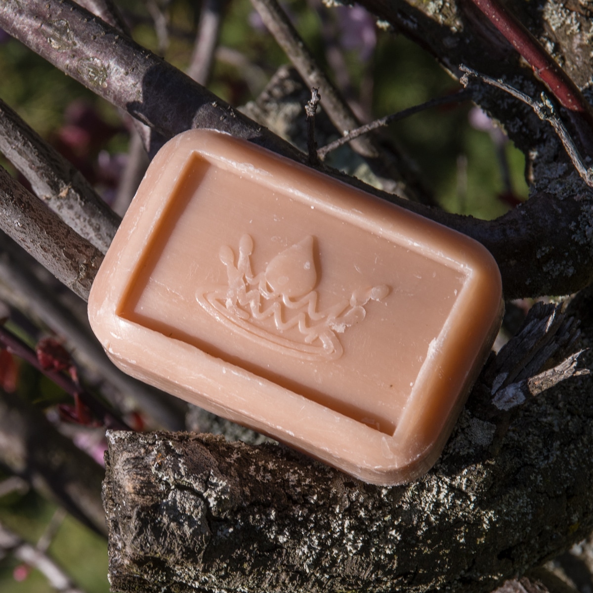 Savon Fleur de coton